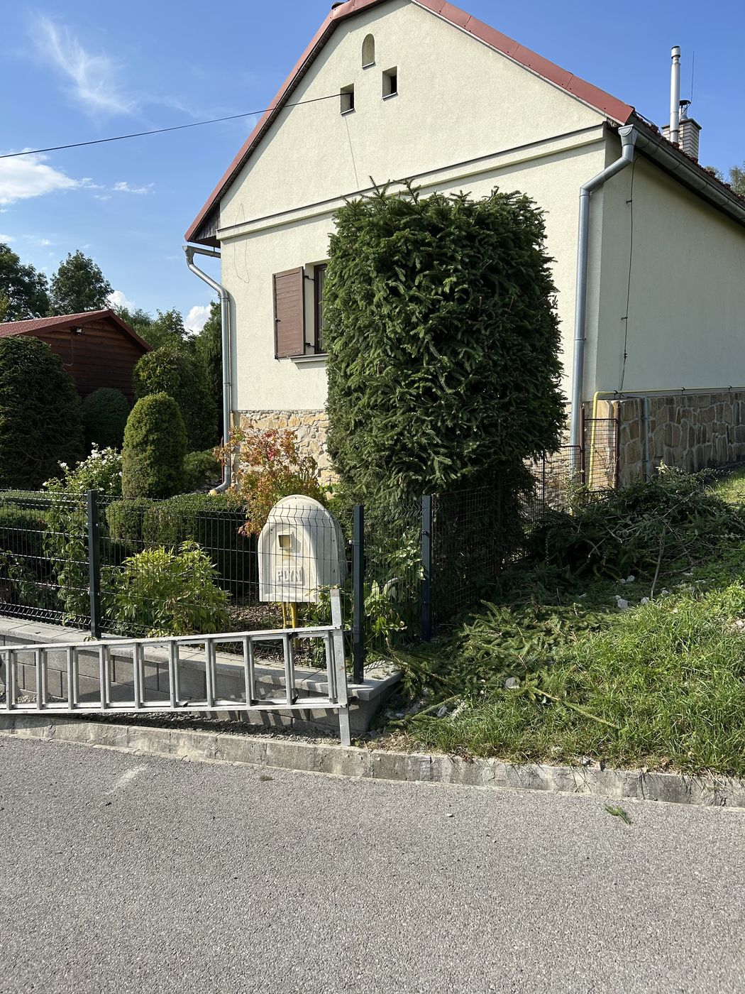 Smrek po zúžení a tvarovaní — odhalená fasáda a okno, odrezaná zeleň pripravená na odvoz.