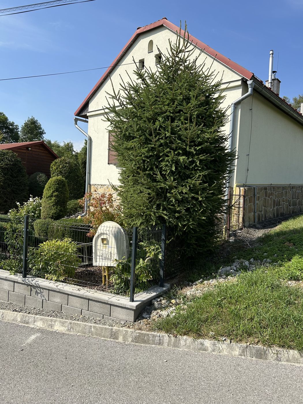 Mohutný smrek tesne pri štíte domu pred úpravou, zakrývajúci bočnú stenu.